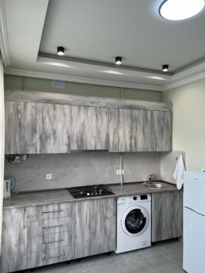 Modern Apartment